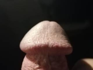 Close up head