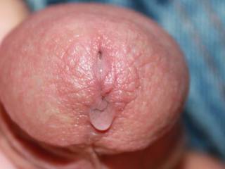 Leaking some of that sweet precum!  Who wants a taste?