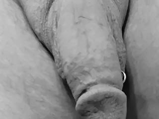 semi hard cock