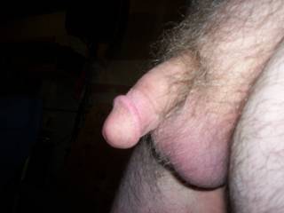dick