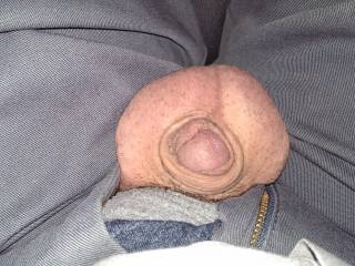 My penis is hiding! Do you like it?