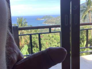 Cock with a view