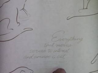 my cock for a special person