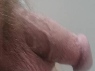 I love the feeling of a throbbing cock on the rise all I need is the right man to help me throb harder