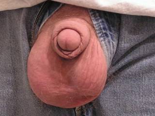 My foreskin covered dick and balls hanging out of my jeans. My balls are huge sperm producers. I cum 3 - 4 times every day and when I ejaculate, my wads are always large and of a thick, ropey consistency. SUCK MY DICK AND LET ME BUST MY WAD IN YOUR MOUTH.