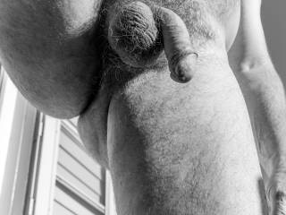 dick