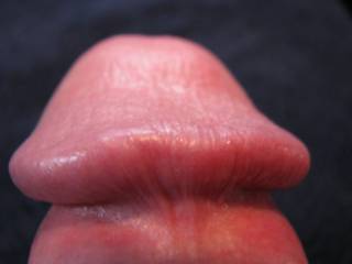 How would this ridge feel between your lips?