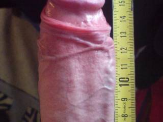 my cock!