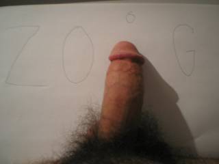 zoig is just fun!