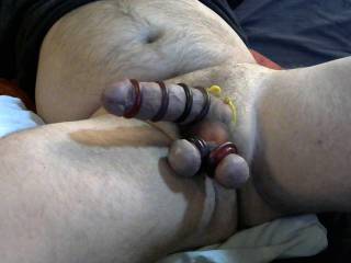 like my cock rings? plz comments