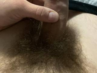 Hairy cock