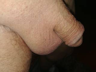 Looking for bald babydick play mate.