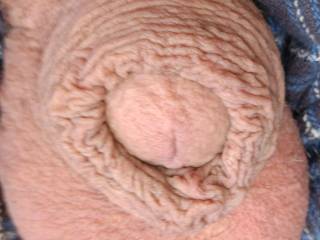 Looking for some help with this cold 🥶 cock