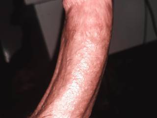 my thick cock is ready to be sucked, any volunteer