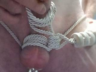 Me Cumming For Your Pleasure as My Cock and Balls Are Tied With Rope....👅💦👅💦👅💦😜😛😋👌👏👍