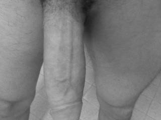 So horny! I need a beautiful girl to take this in her mouth