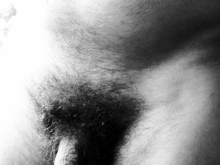 dick