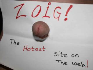 zoig! rocks my cock