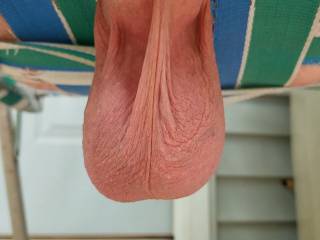 just hangin around on a nice day