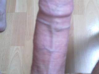 my d