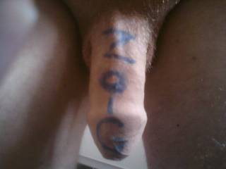 my cock