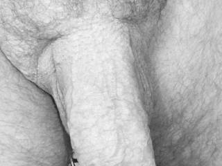X-Slut