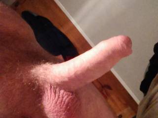 cock