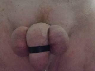A Close Look At My Tied Cock and Balls For Your Pleasure...👅💦👅💦😋😜

Does it Harden Your Naughty Bits  ?...🤔🤔🤔