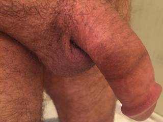 Barely rising. Who wants to help it get fully erect?