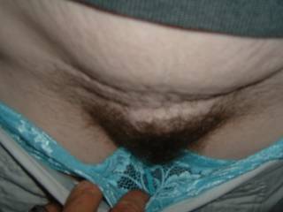 The bush is growing back in
