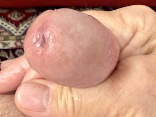 Big head with precum