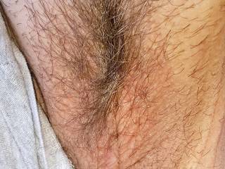 my pussy