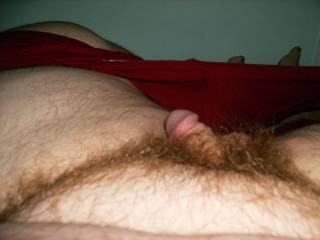 i love little hairy dicks and balls. put it in my mouth