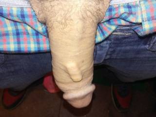 My dick and my porclin insert