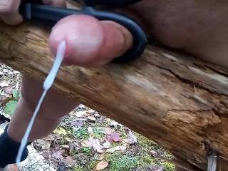 My cock squirting cum as I hump a log and stroke with the handle of some scissors. Also on video.