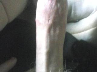 9.5" big young throbbing cock for your pleasure