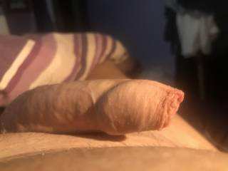 Who likes my foreskin?