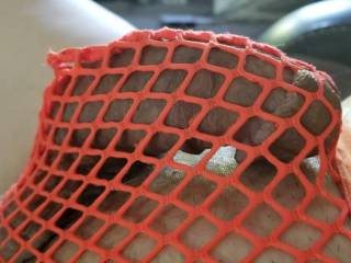 Caught off the shore of West Palm Beach