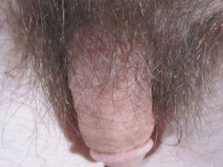 A view of my small dick & my hair that surrounds it as I sit in April of 2023. Camera used, C300.