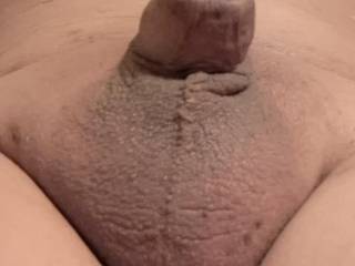 My small cock