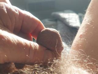 early morning play in the sunshine