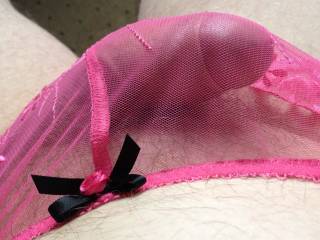 starting to get hard, cock straining against the pink see thru panties.