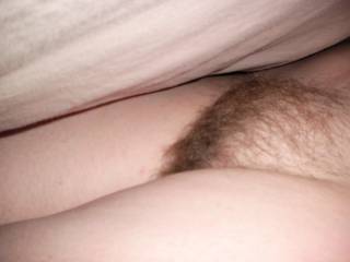 i have always wanted to shoot my cum over a hairy pussy like that