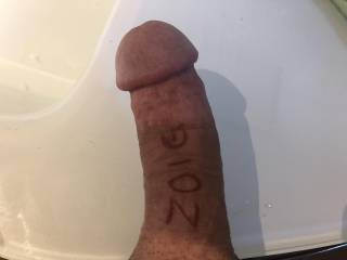Zoig