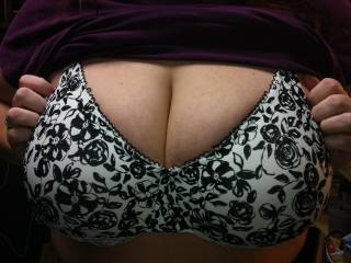 Wifes big tits in her bra