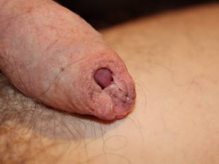 Perhaps you would like to explore my foreskin