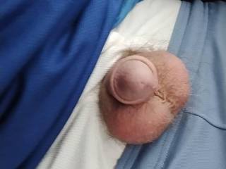 Who would like to put it in their mouth?  I\'m so horny right now would let a guy suck on my dick....  Message me let\'s have some me fun...