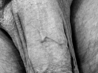 B&W soft cock