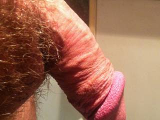 My dick close up, who wants it