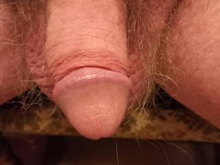 tell me what you would do with this